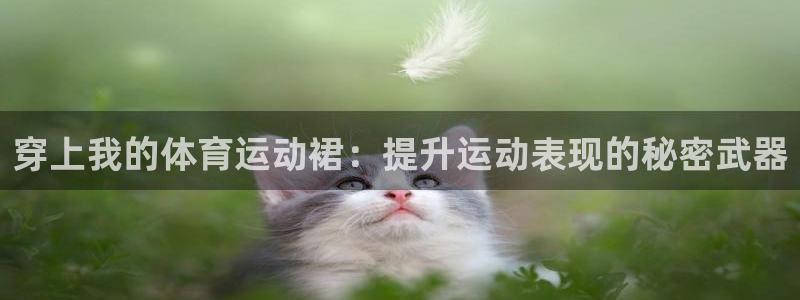 球客岛
