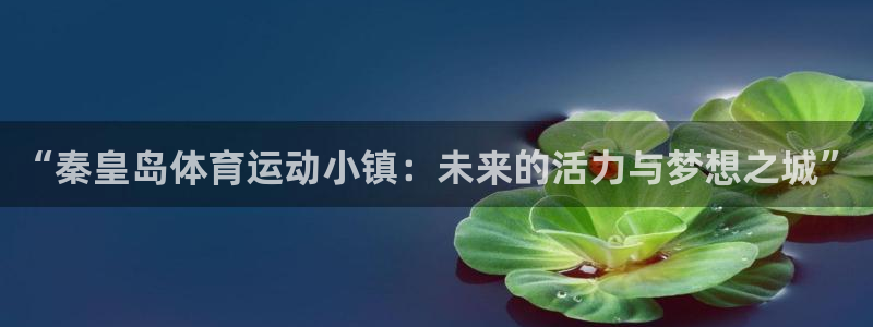 球客岛