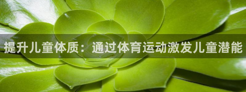 球客岛