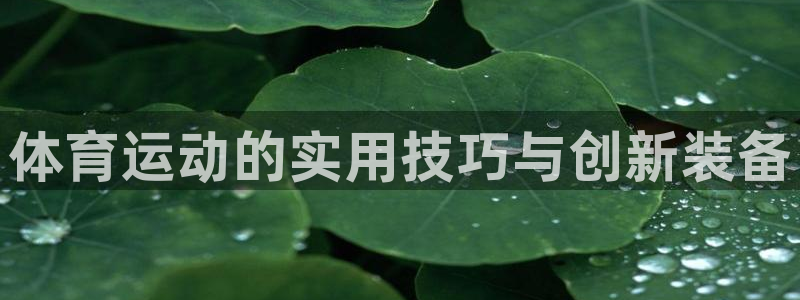 球客岛