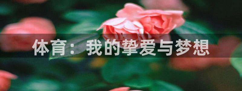 球客岛