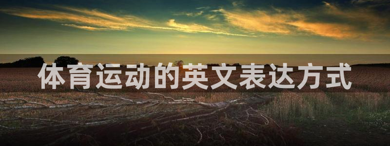 球客岛